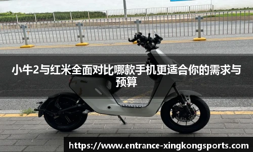 星空体育在线官网